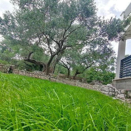 Vila Dolani Klek Kültér fotó
